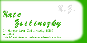mate zsilinszky business card